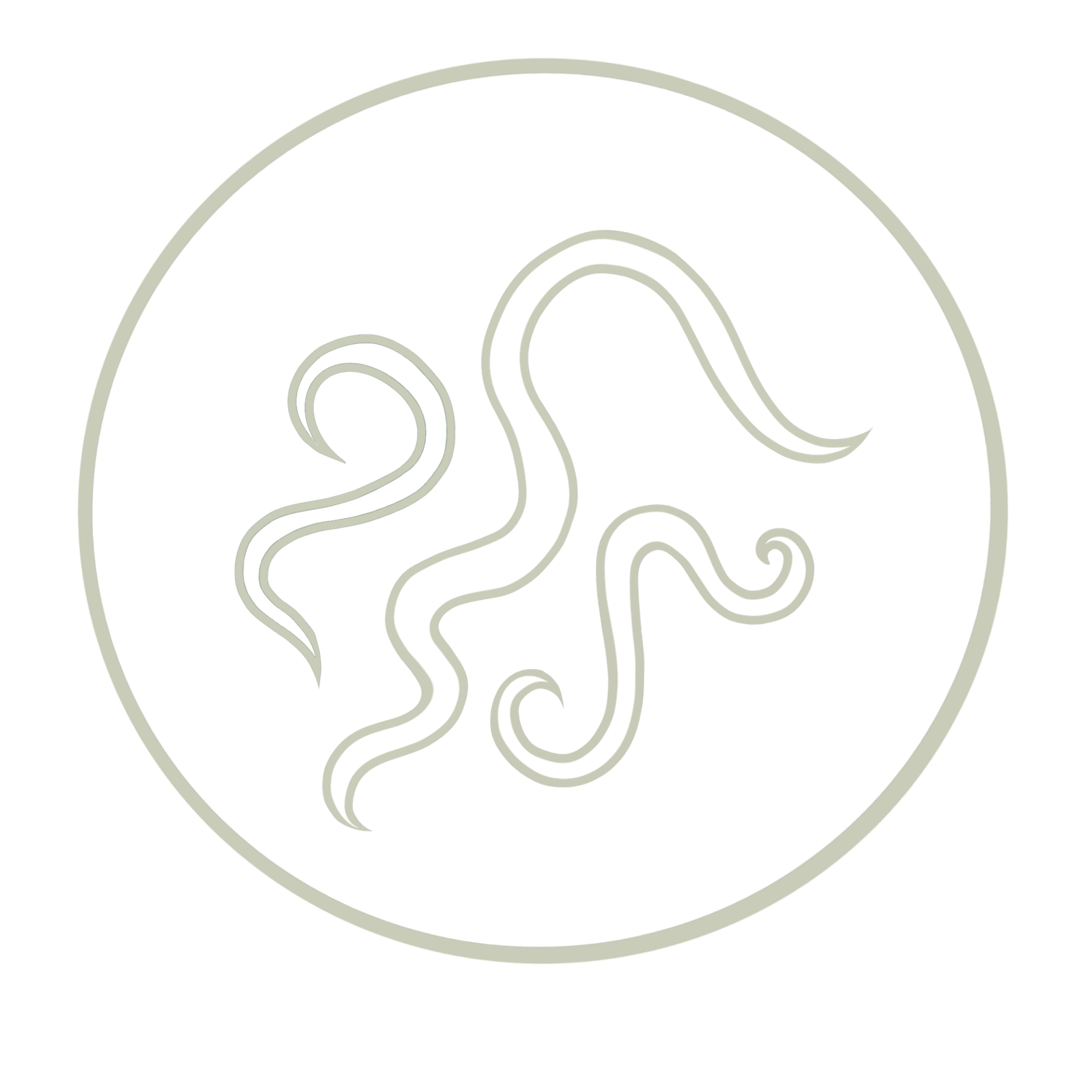 parasites parasitic infection clinic of holistic nutrition