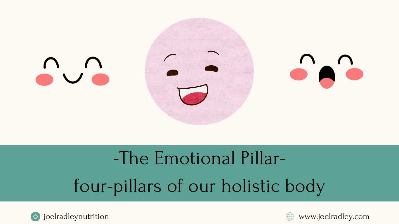 the emotional pillar joel radley root cause functional nutrition