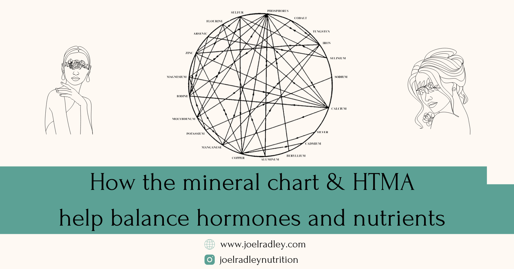 Joel Radley how the mineral chart and hair tissue mineral analysis can help you