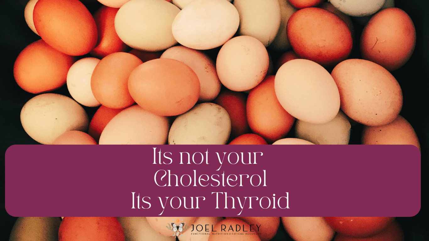 Its not your cholesterol its your thyroid joel radley thyroid nutrition nutritionist