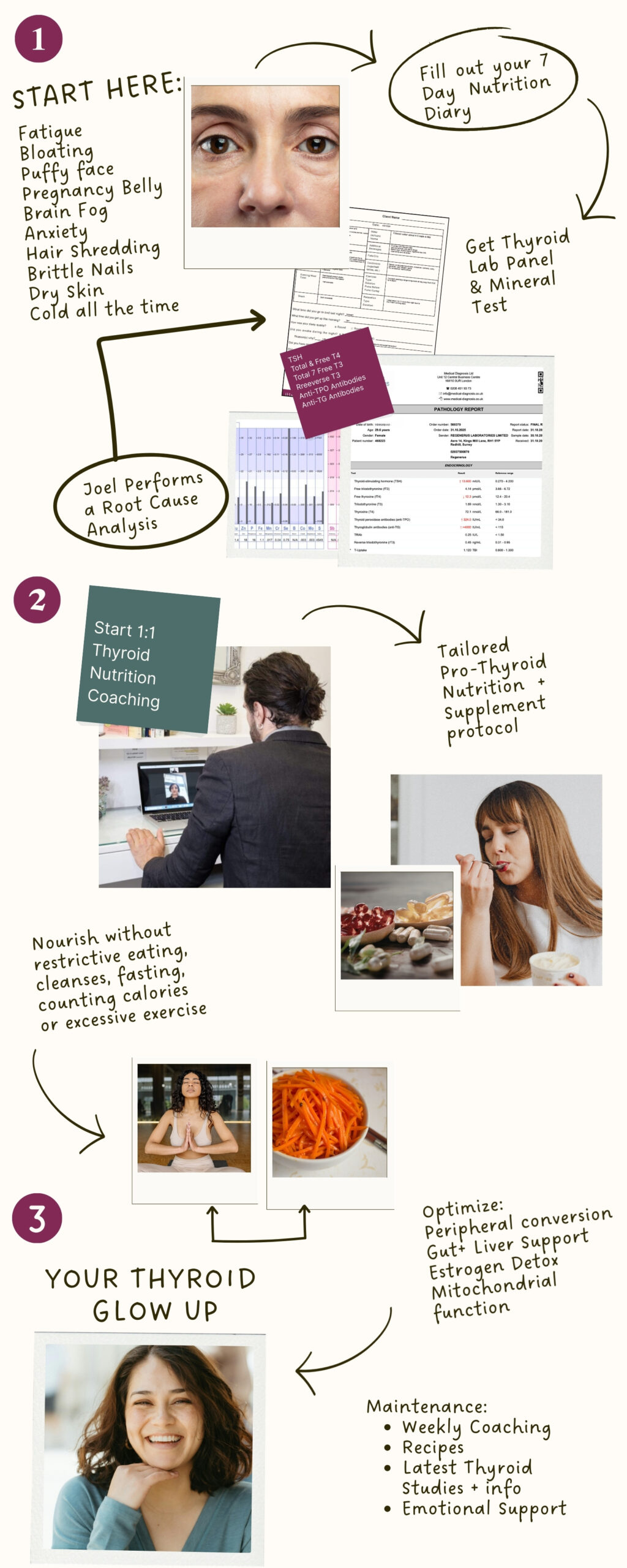 how the pro-thyroid protocol works joel radley thyroid nutritionist