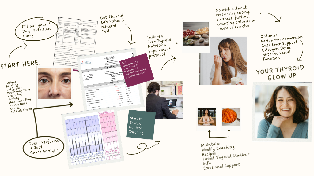 joel radley thyroid nutritionist pro-thyroid protocol process infographic 0